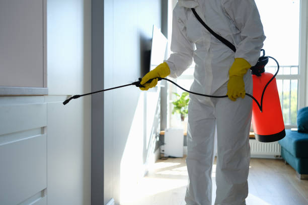 Best Mold Testing and Removal  in Magnolia, NC